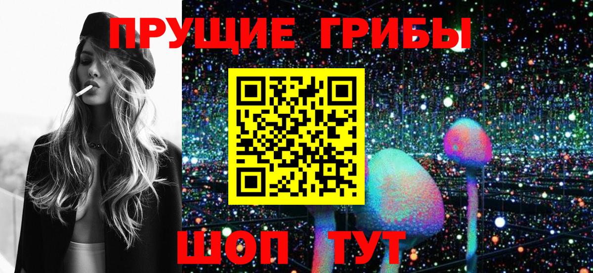 Галлюциногенные грибы Psilocybine cubensis Кандалакша