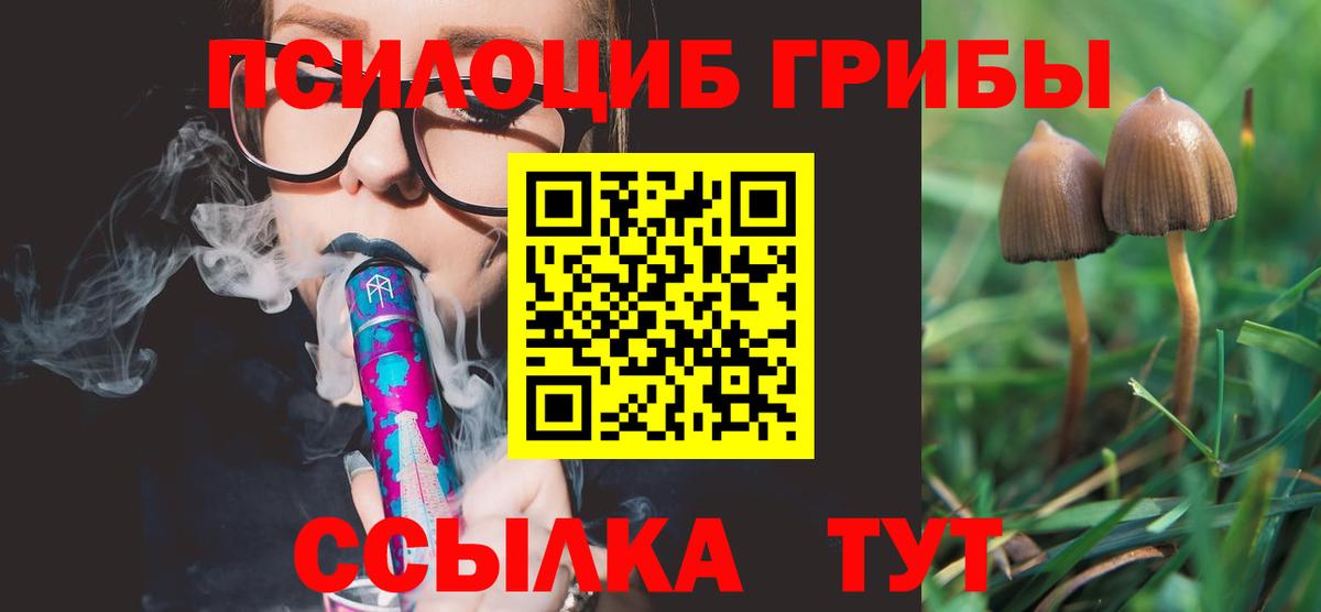 Кандалакша  Псилоцибиновые грибы ЛСД  Вход с VPN  Псилоцибиновые грибы GOLDEN TEACHER 